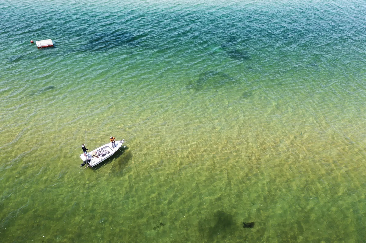 Aerial view of a flats skiff over clear, shallow green water on a Martha's Vineyard flat
